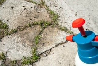 différentes dalles avec des mauvaises herbes