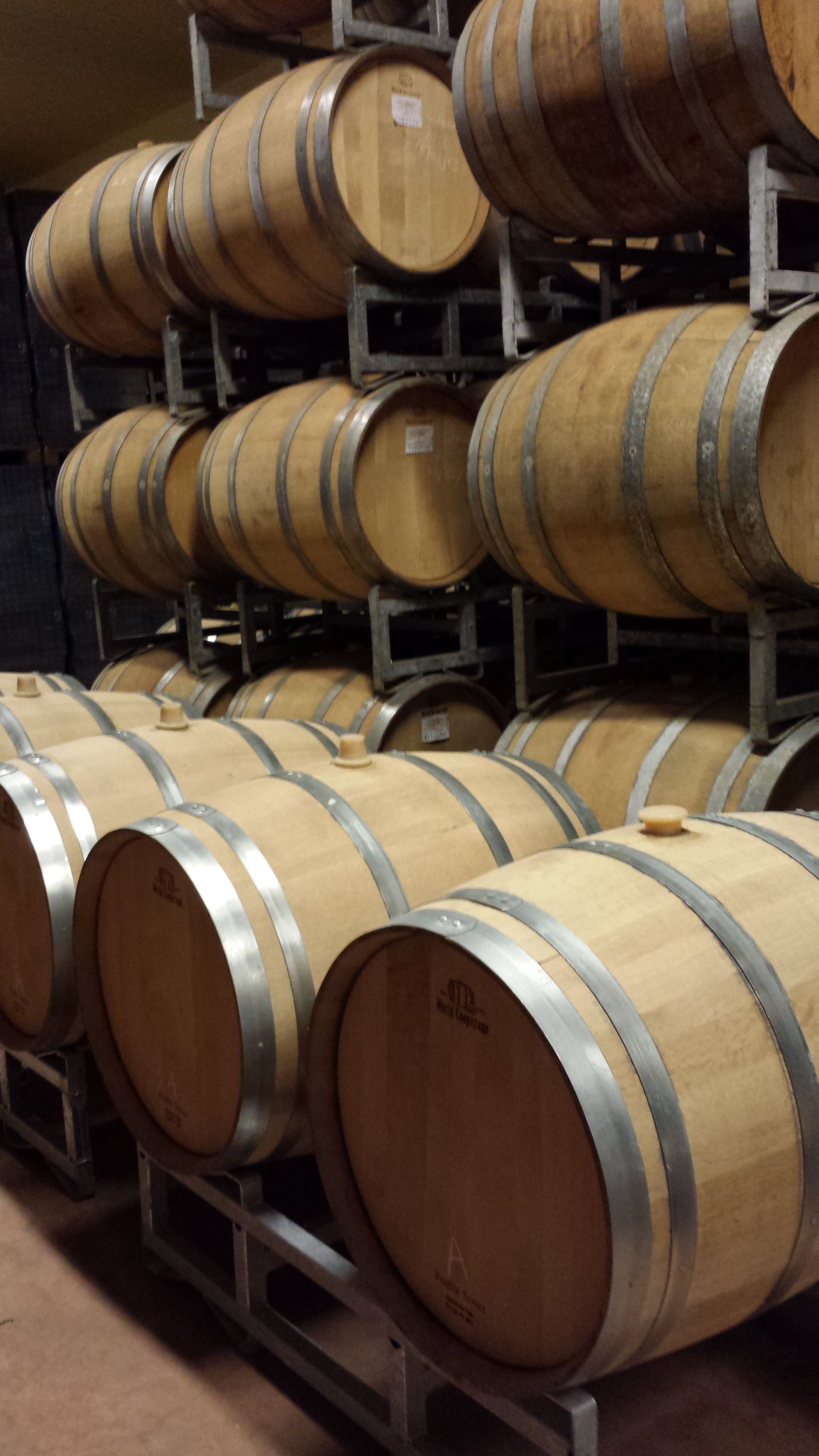 Frauchiger Weine - Piemont Sarotto