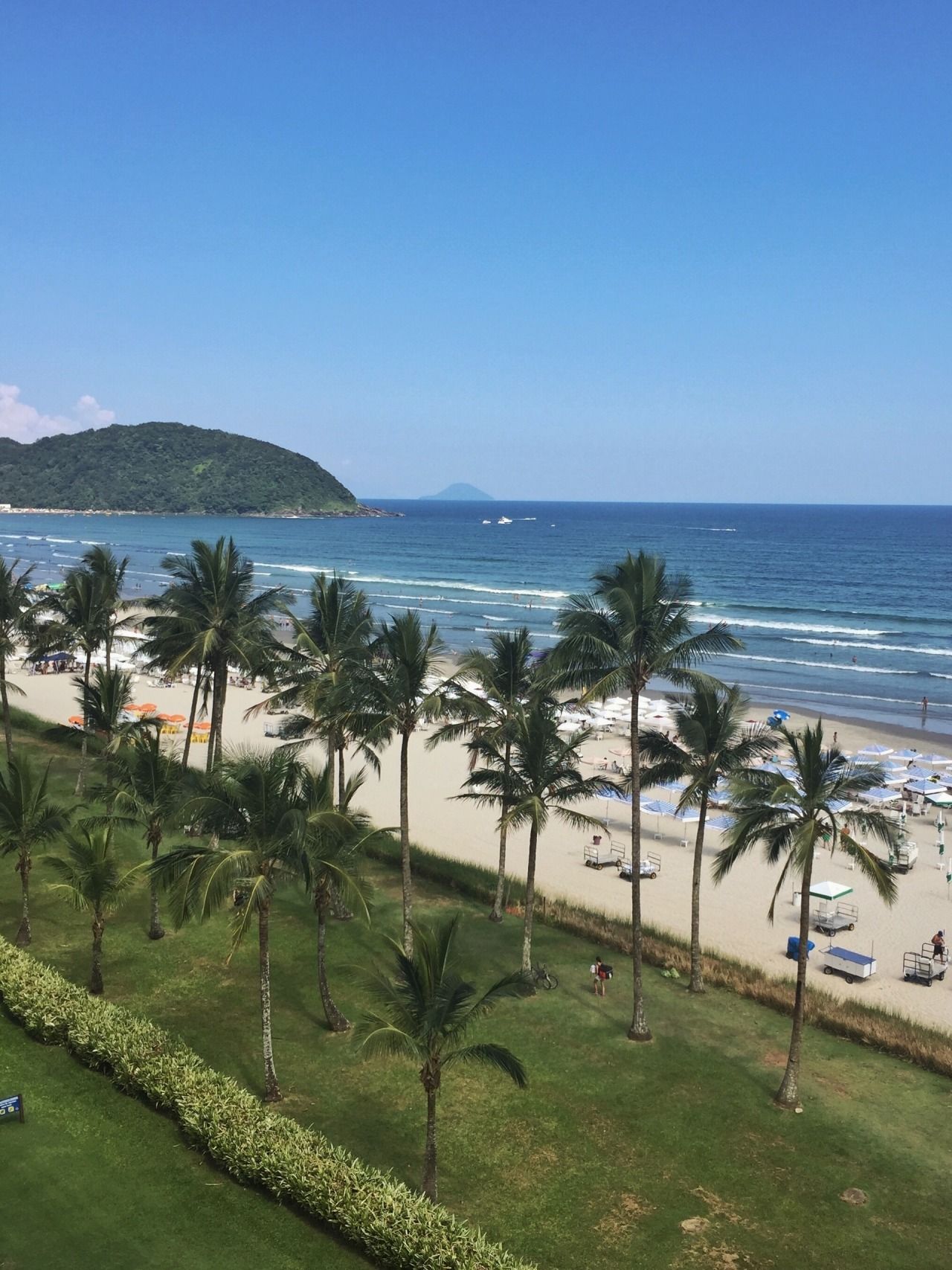 Palmeiras margeiam uma praia de areia ao lado de um gramado verde, com o oceano azul e o céu ao fundo.