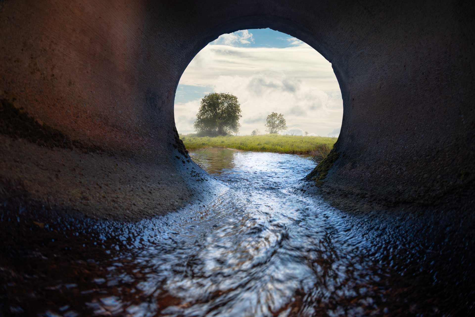 Vue de l'intérieur d'un tuyau sur une prairie avec des arbres