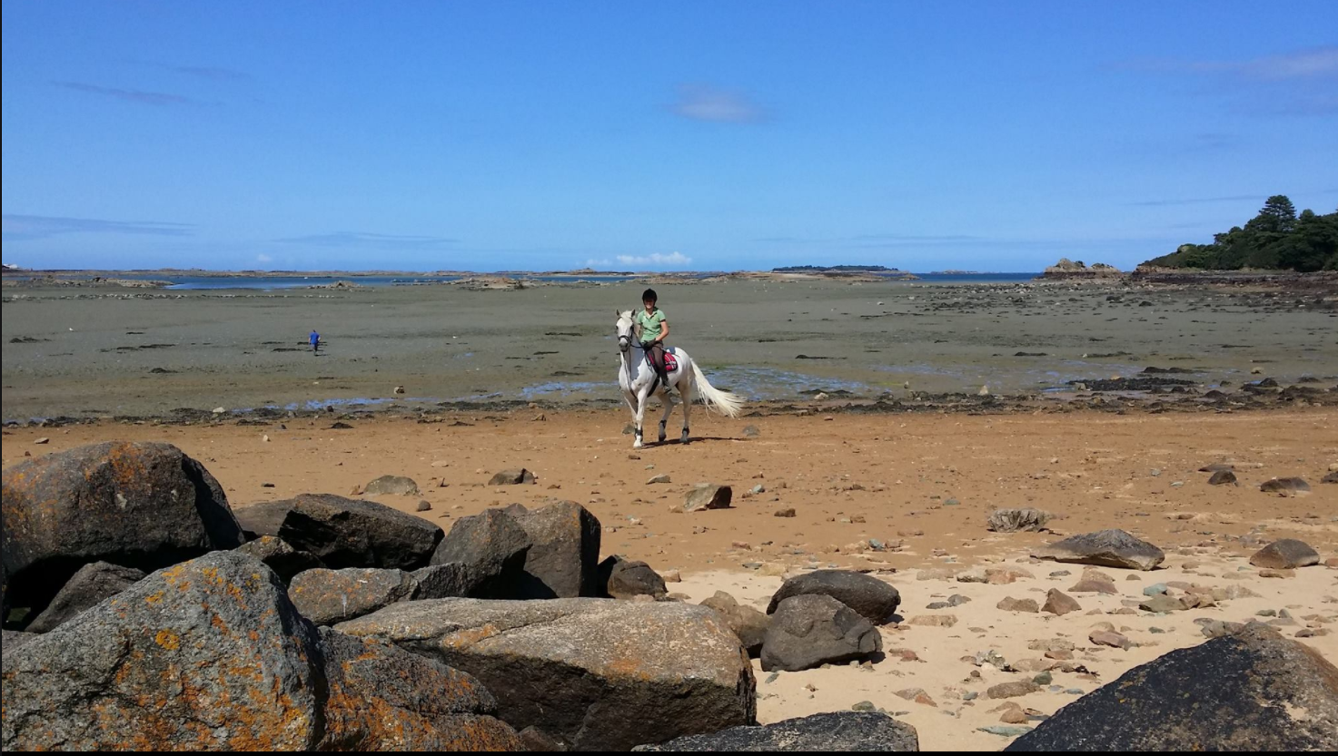 Ballade à cheval sur la plage - Côtes d'Armor