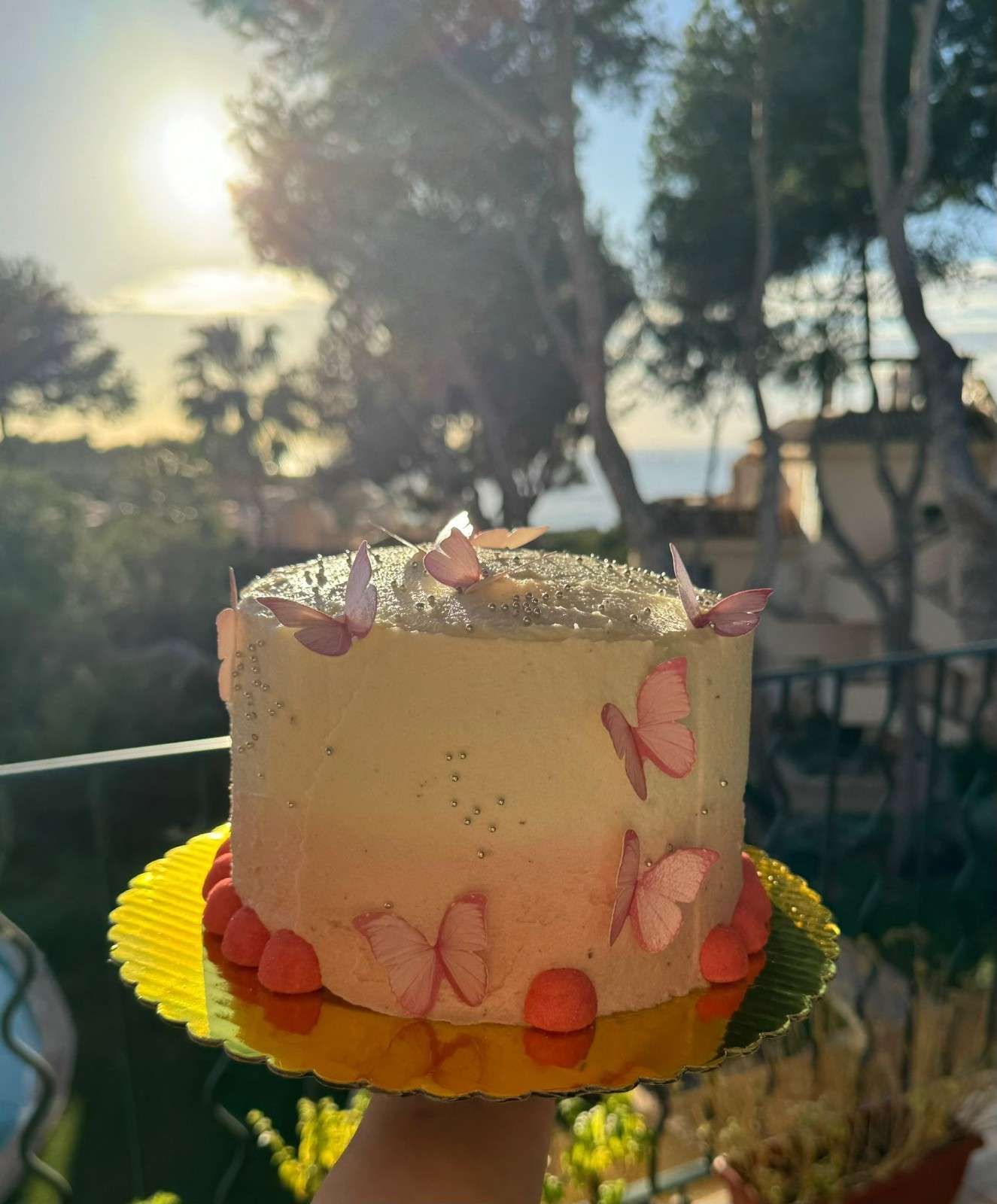 Un pequeño pastel glaseado con un degradado de rosa a blanco y decoraciones de mariposas rosas, celebrado al aire libre al atardecer.