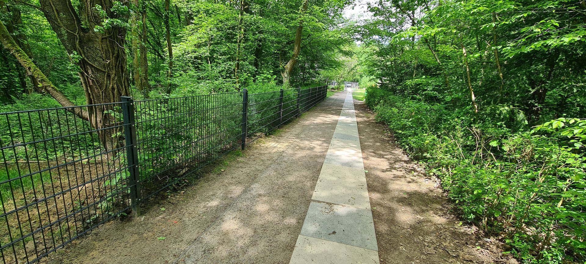 Ein Waldweg, umgeben von Bäumen und einem Zaun.