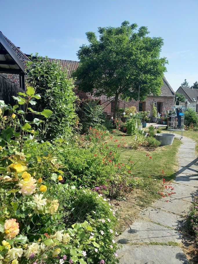 Jardin avec chemin en pierre