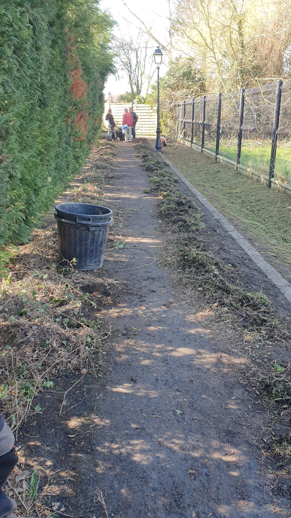 En cours de débroussaillage