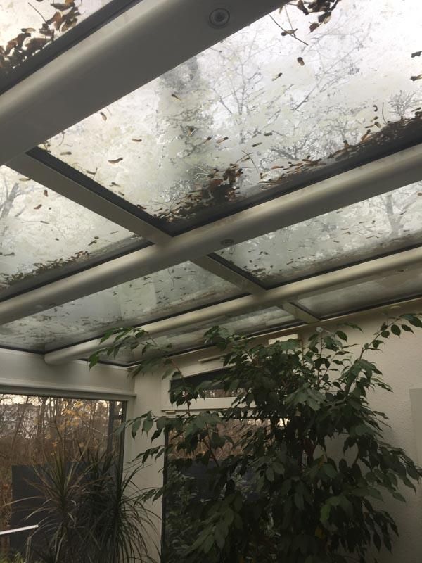 Eine Decke mit vielen Blättern darauf