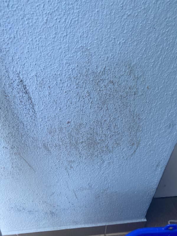 Eine weiße Wand mit einem blauen Eimer daneben