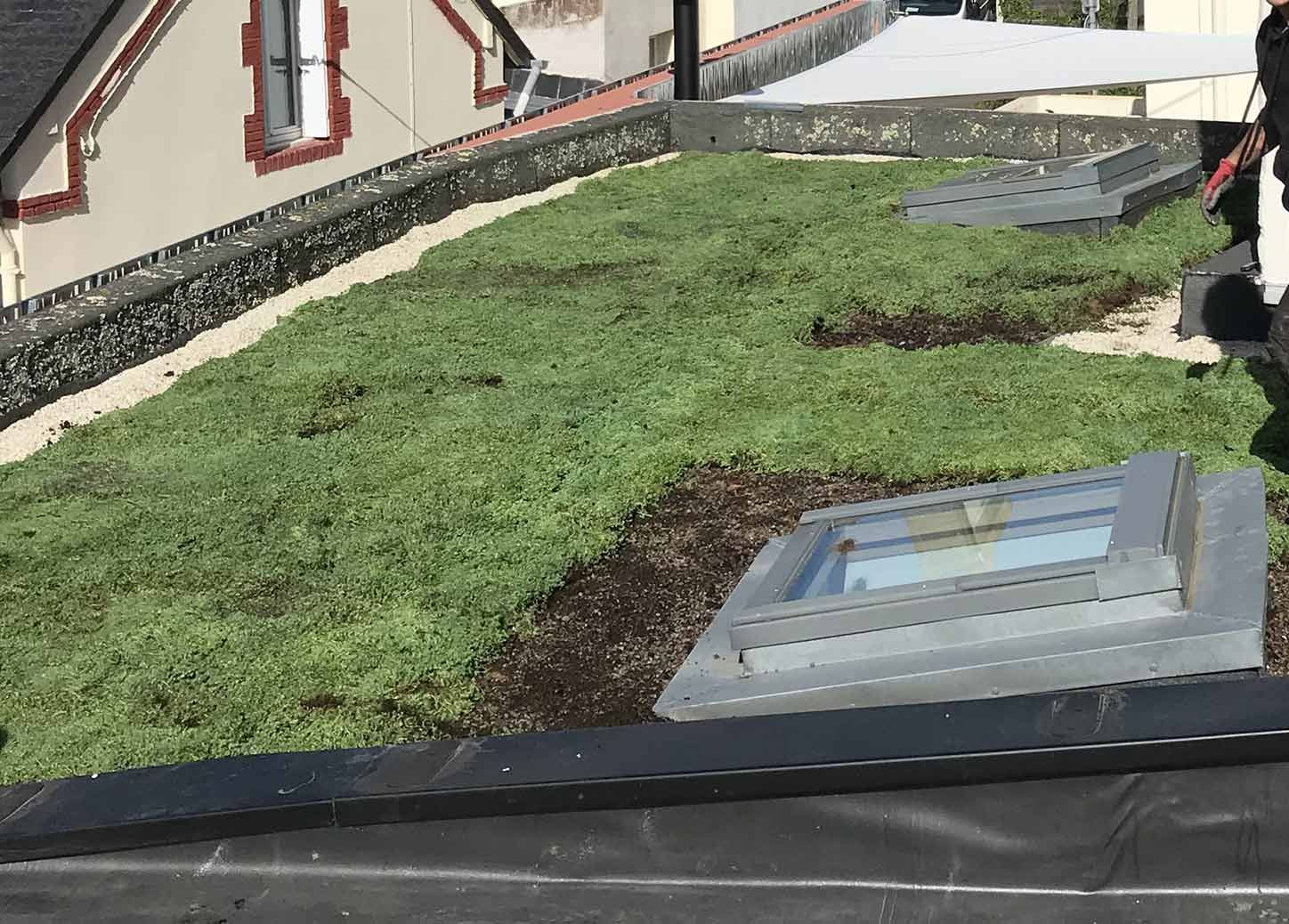 Toit végétalisé et panneaux solaires