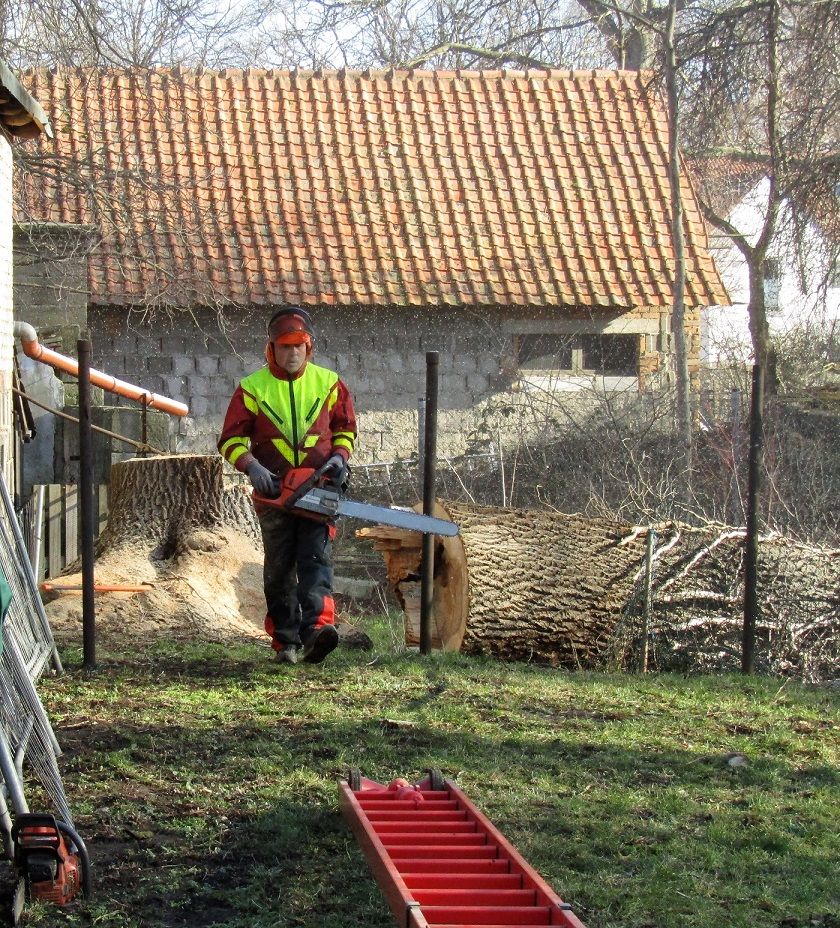 ein Mann schneidet einen Baumstamm mit einer Kettensäge