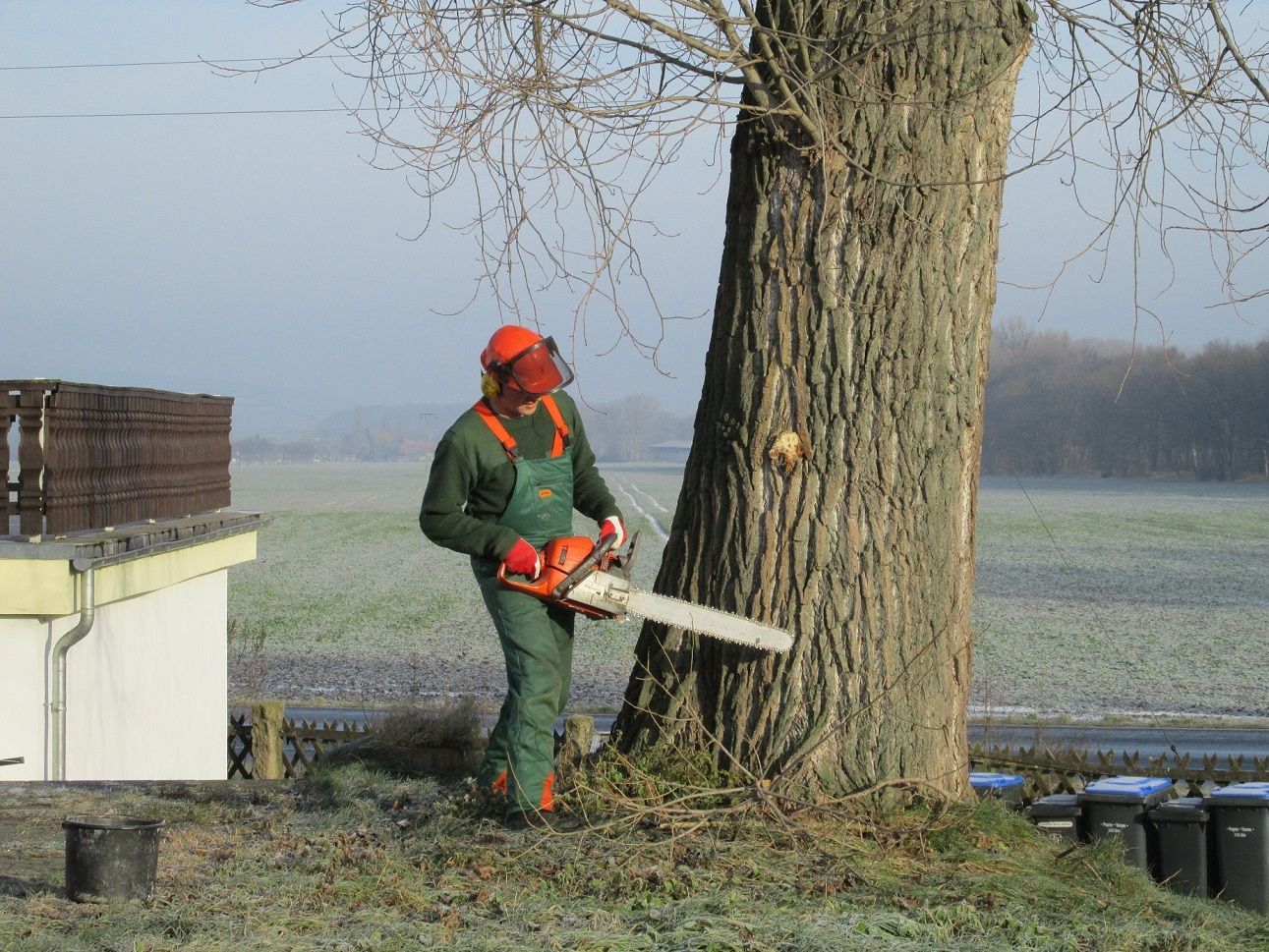 ein Mann schneidet einen Baum mit einer Kettensäge