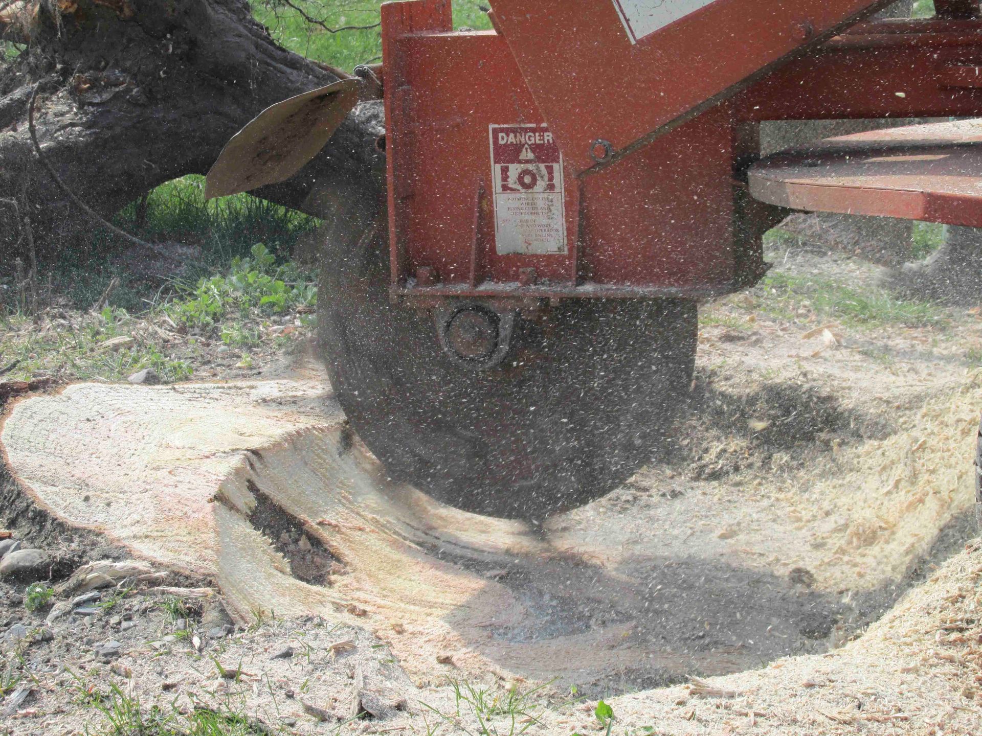 Baumstubben abfräsen