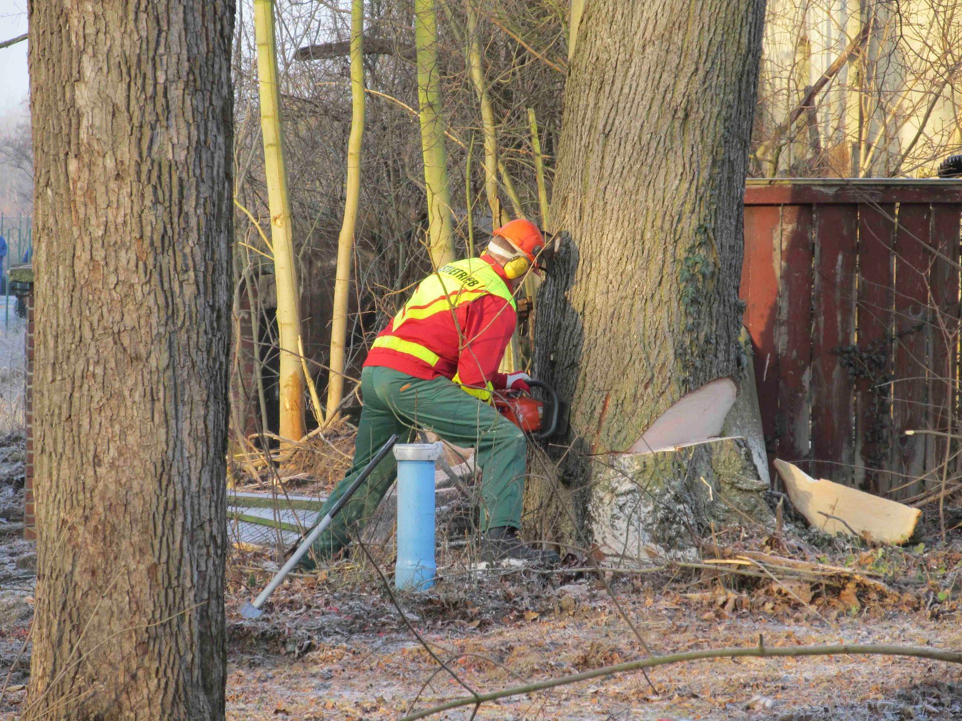 Manuelle Baumfällung