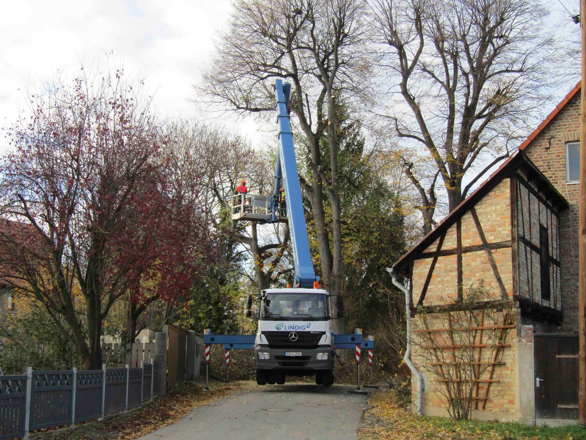 Spezial- Baumfällung mit Hubsteiger