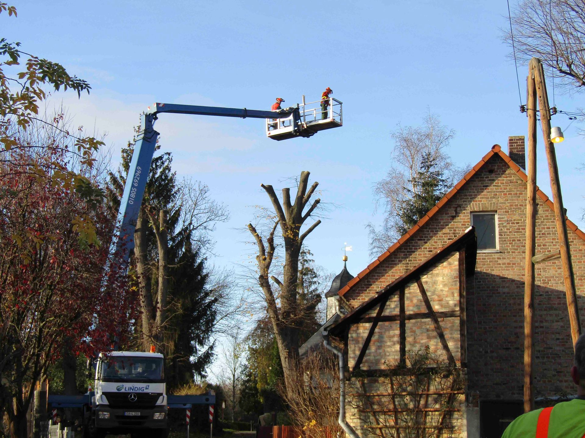 Spezial- Baumfällung mit Hubsteiger