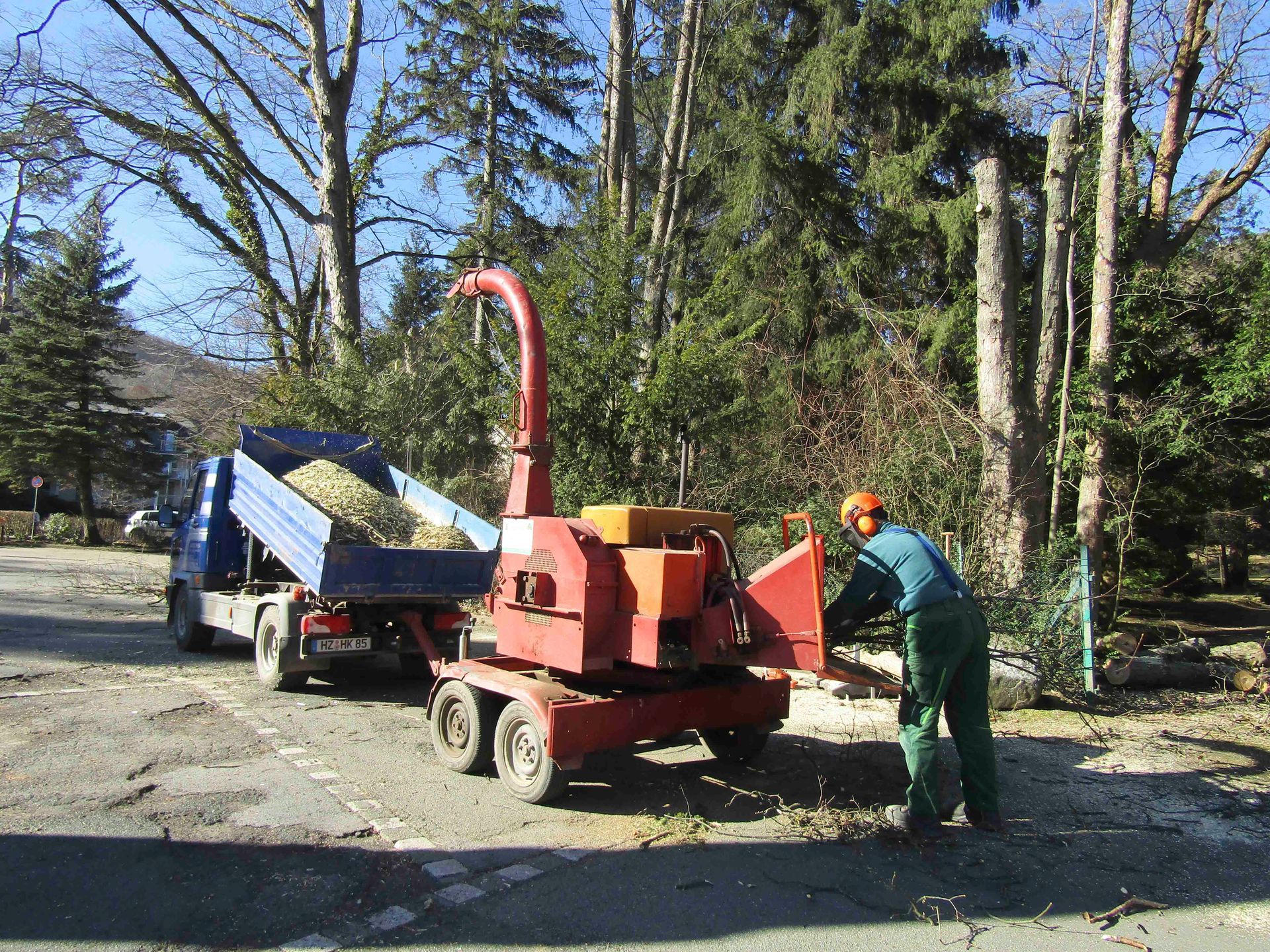 Spezial- Baumfällung mit Hubsteiger