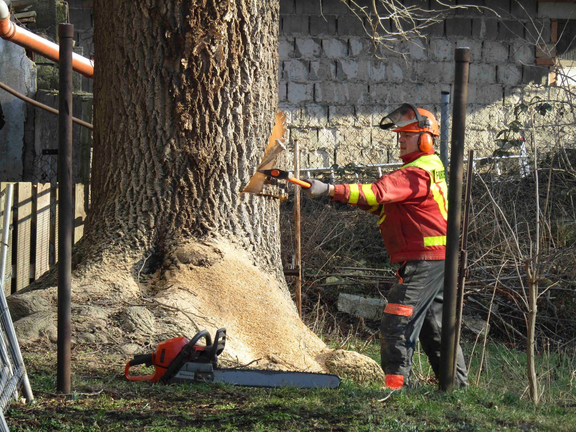 Manuelle Baumfällung