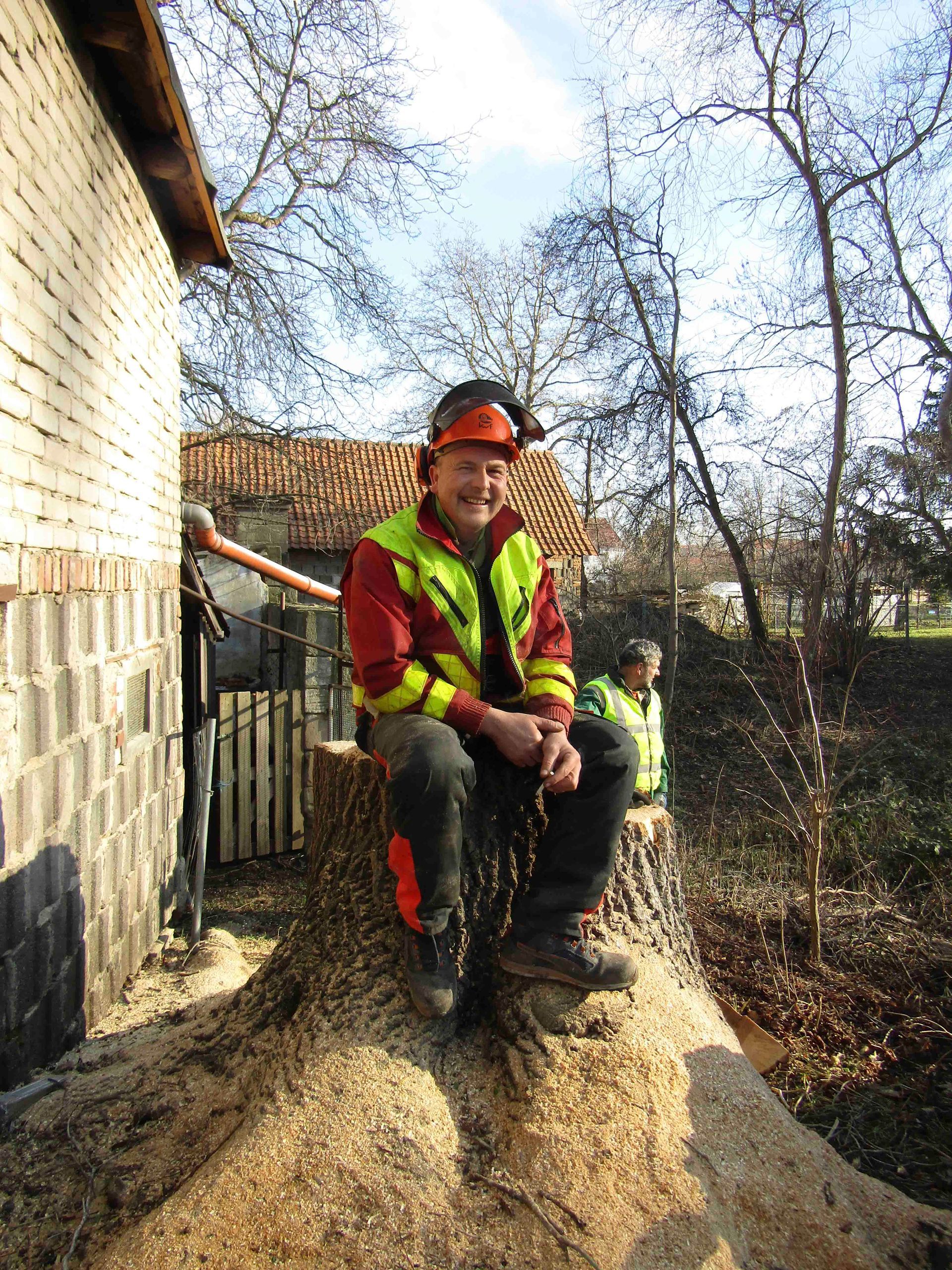 Manuelle Baumfällung