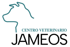 Clínica Veterinaria Jameos