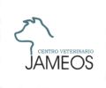 logotipo cabecera