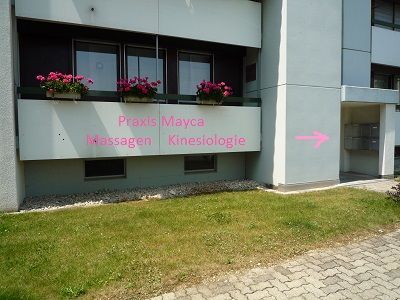 Praxis Mayca