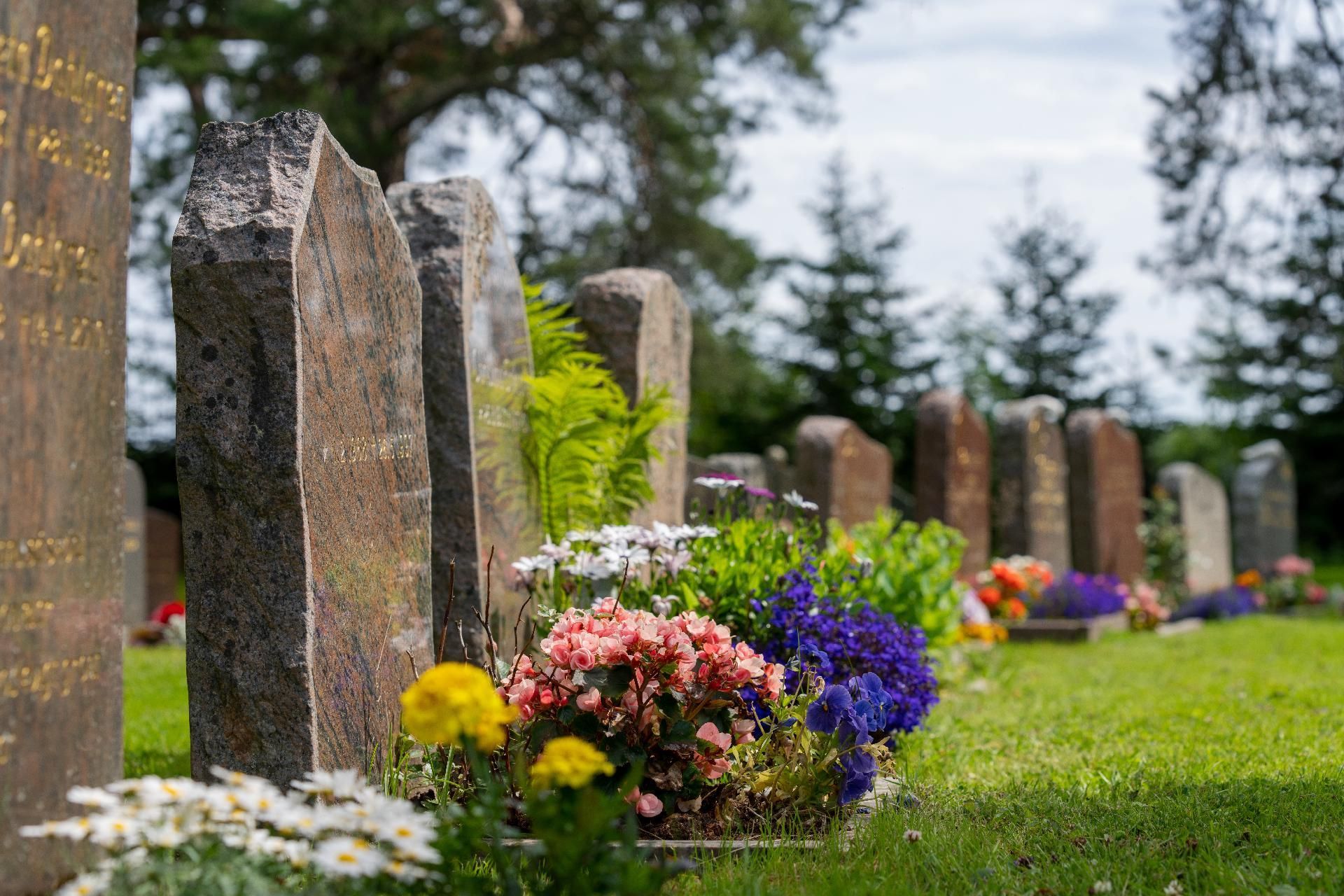 Reihe von Grabsteinen mit bunten Blumen Reihe von Grabsteinen mit bunten Blumen in einer sonnigen Friedhofsumgebung.