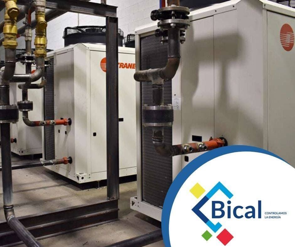 La palabra bical que está en una imagen