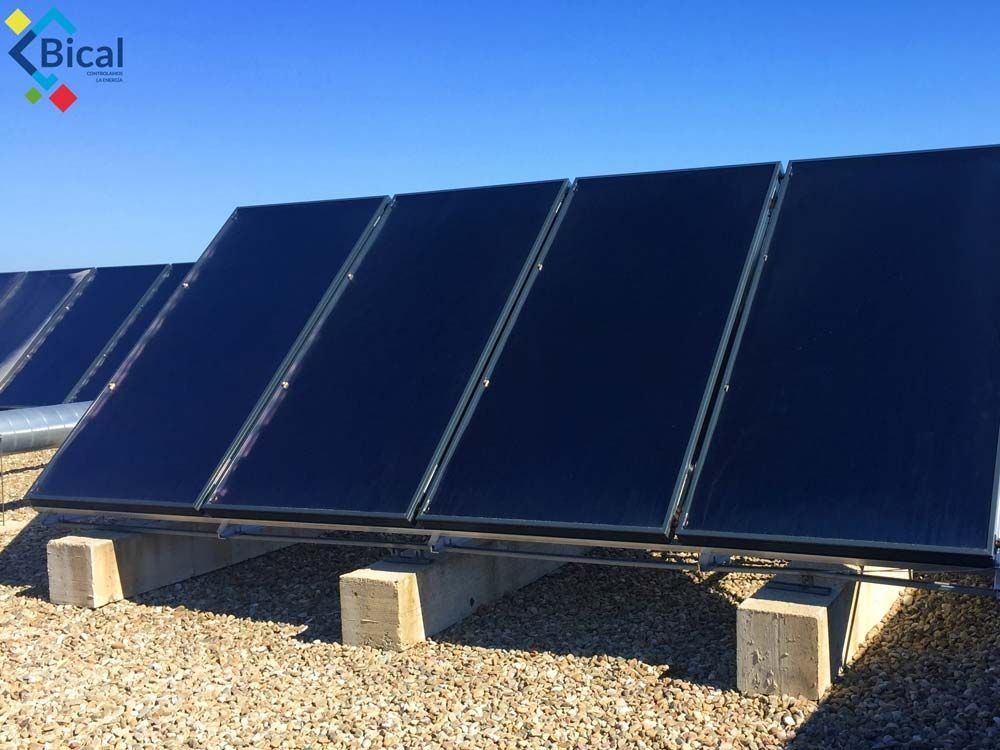 Una fila de paneles solares con la palabra bical en la parte inferior