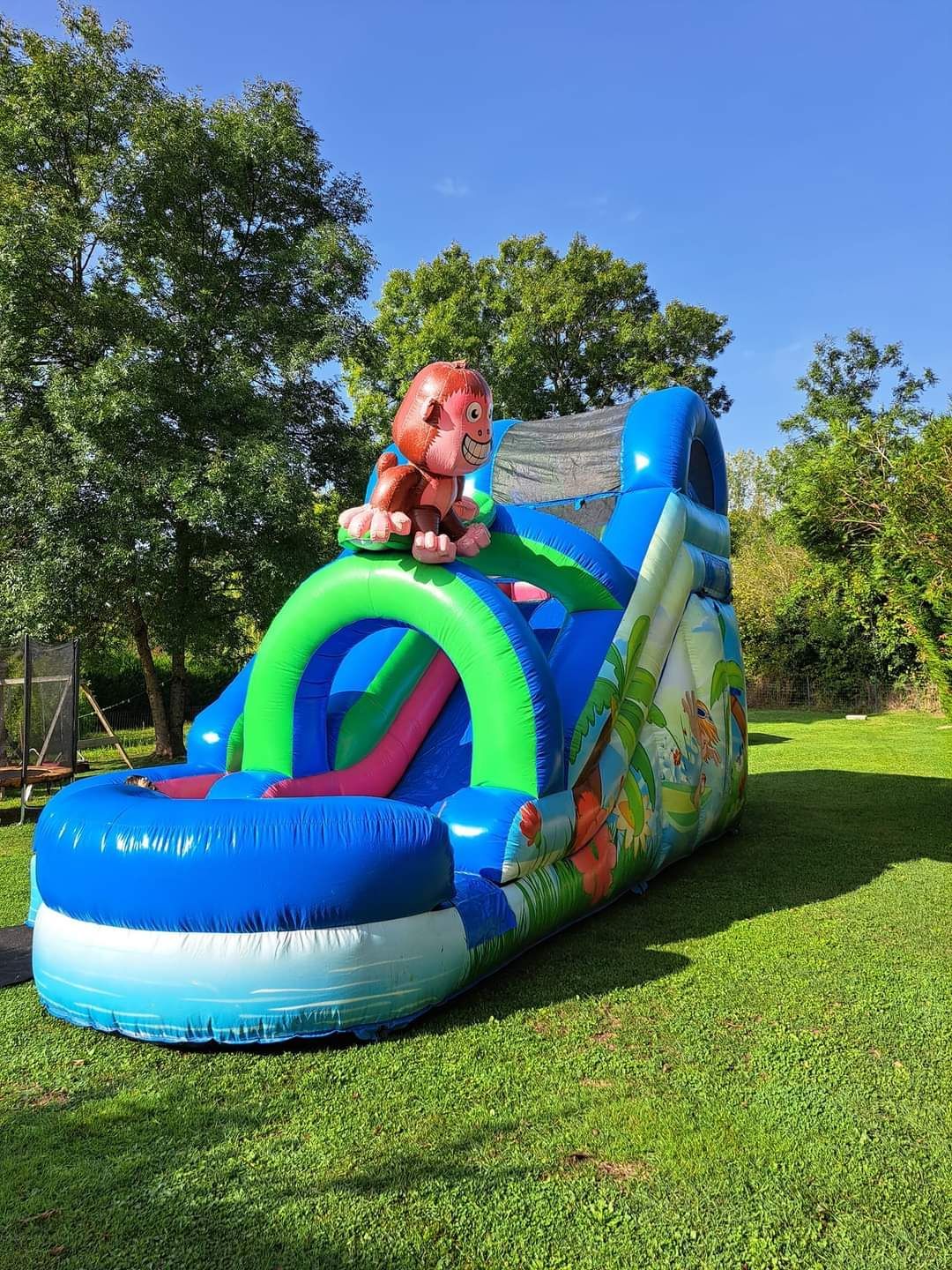 Toboggan gonflable bleu et vert sur le thème de la jungle avec un singe sur le dessus, installé sur une pelouse herbeuse.