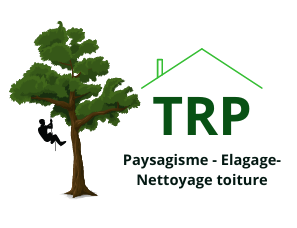 Logo Tino Riffet Paysagiste