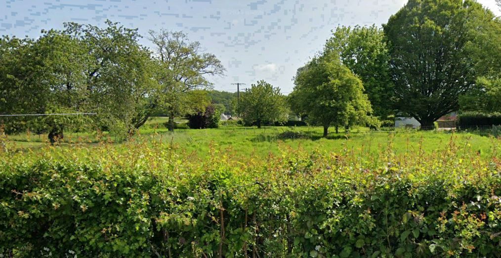 Un terrain verdoyant