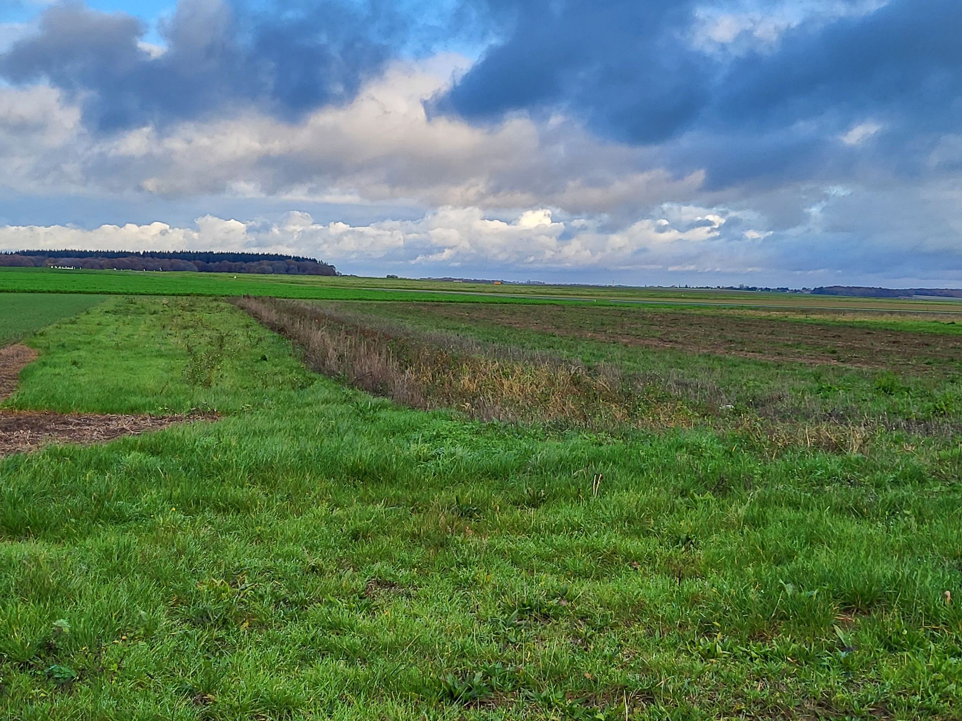 Vaste terrain à bâtir