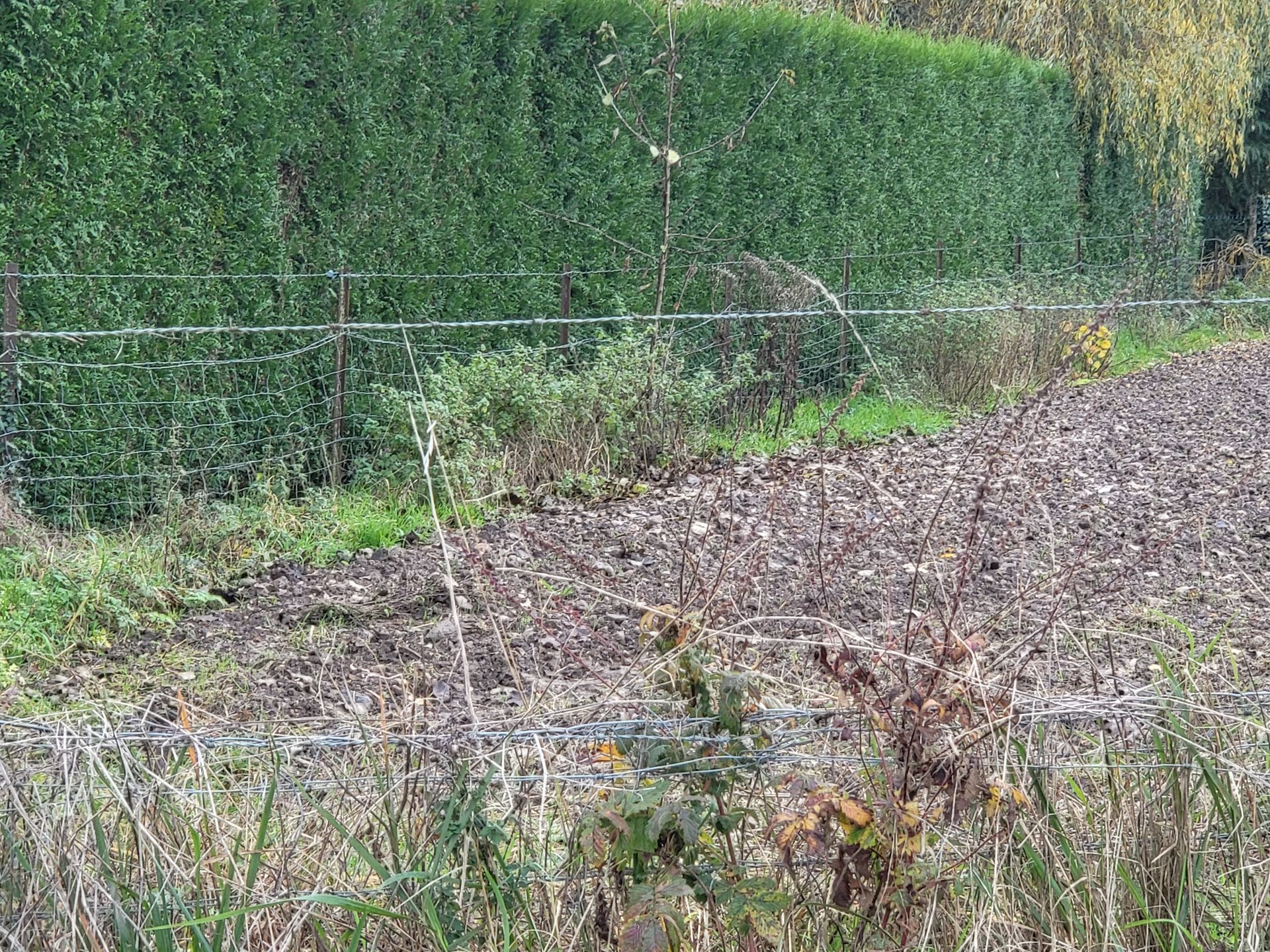 Terrain à bâtir pour construction de maison