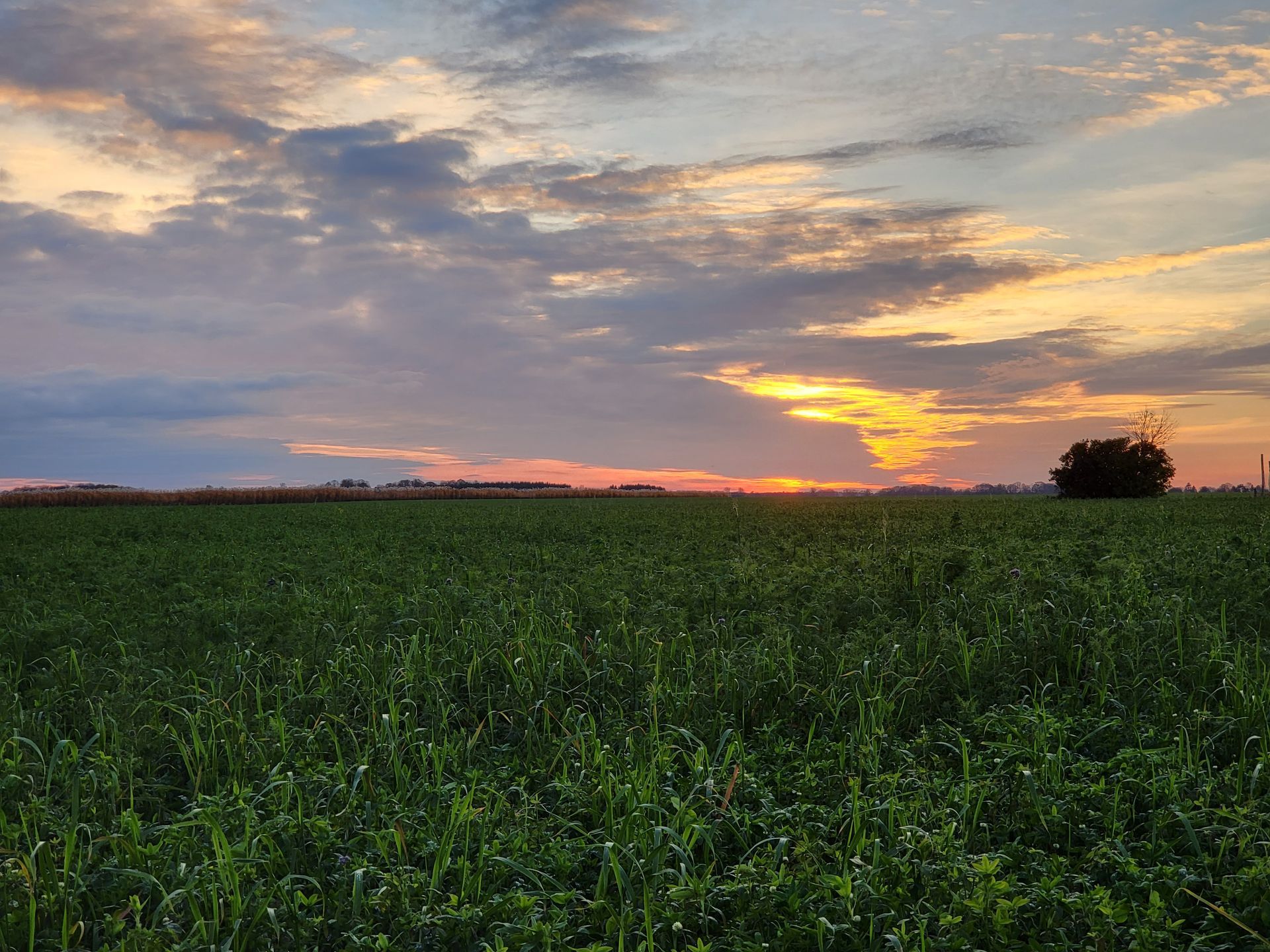 Terrain à bâtir avec coucher du soleil