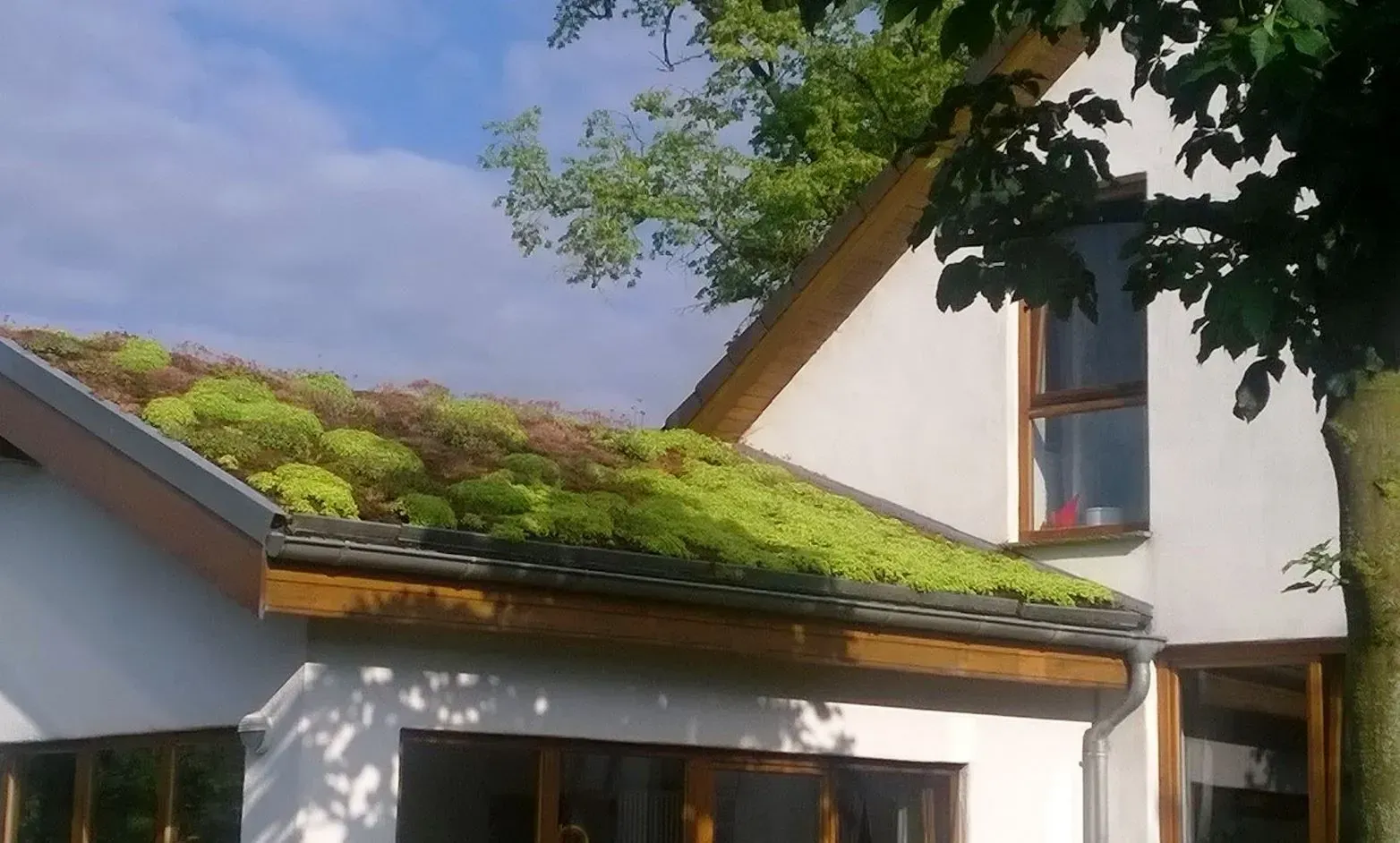 Mit Moos begrüntes Dach eines weißen Hauses