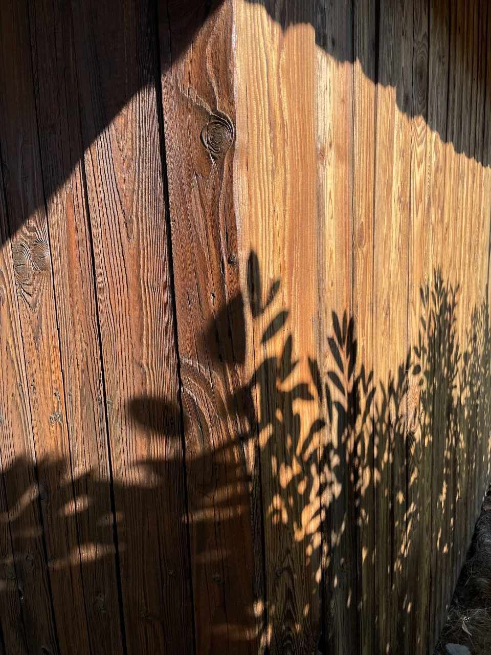 A bis Z Maler & Gipser GmbH