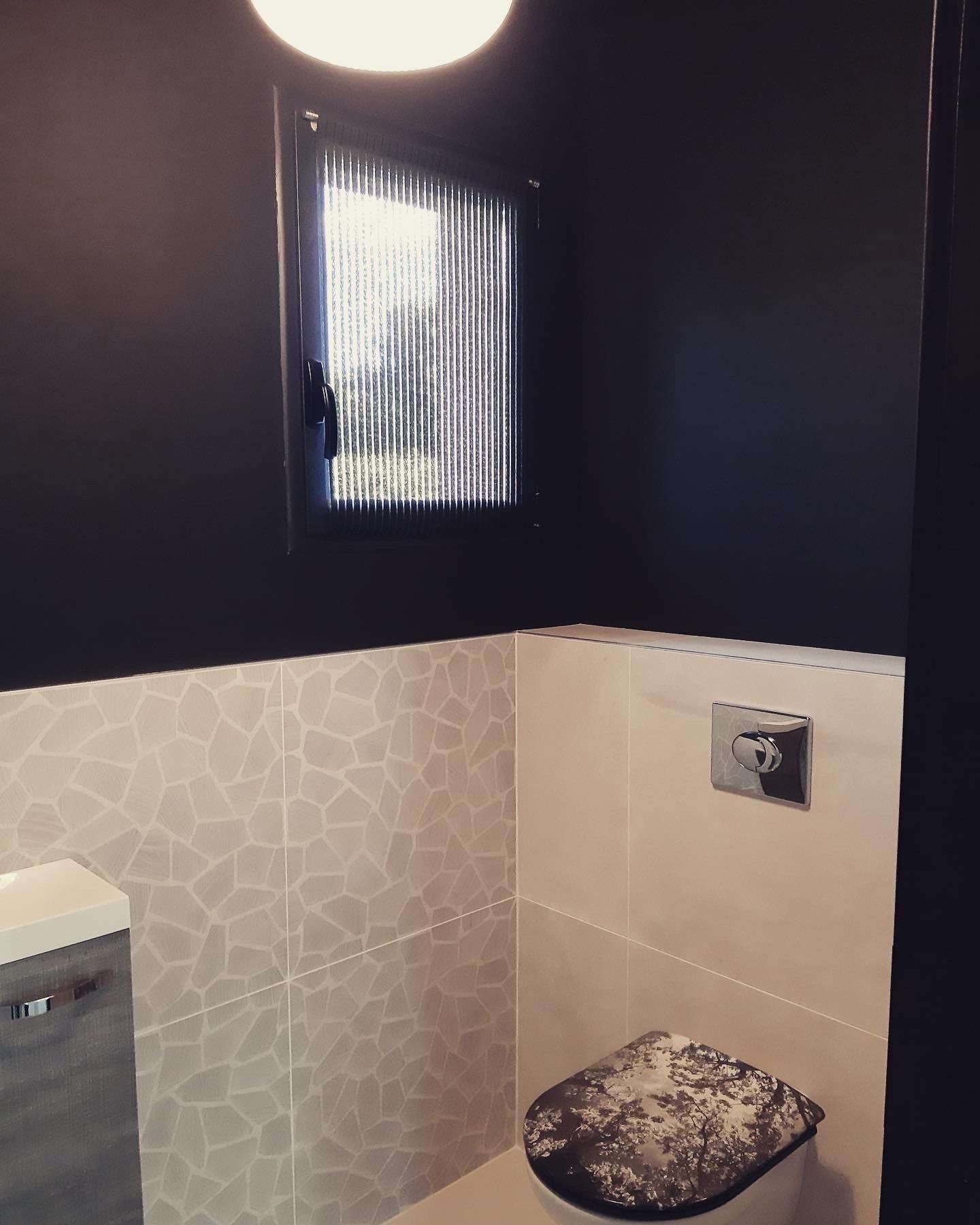 Avant les travaux dans les toilettes