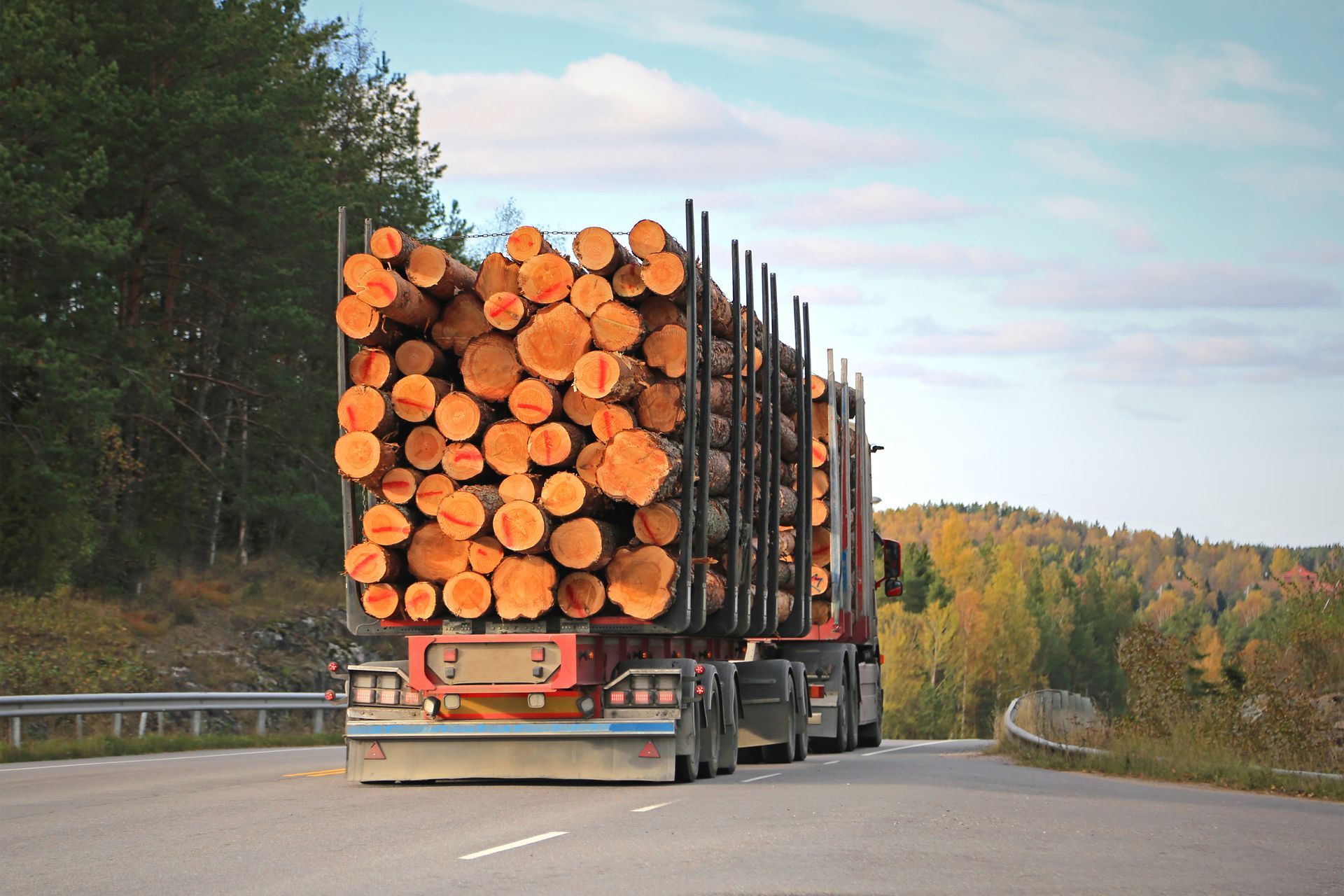 Camion grumier transportant des grumes empilées circulant sur une route sinueuse à travers une forêt en automne.
