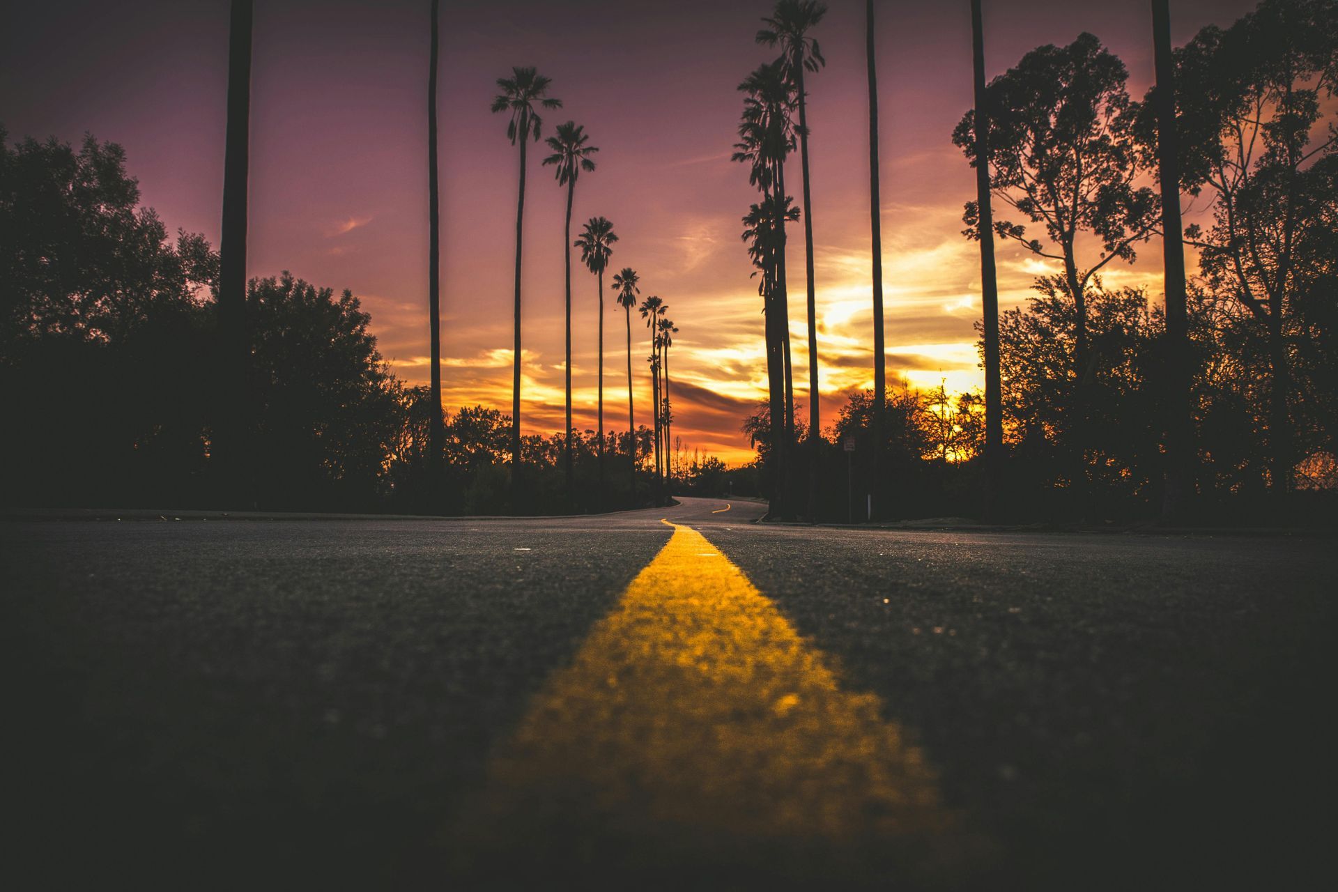 Un camino con palmeras al costado al atardecer.