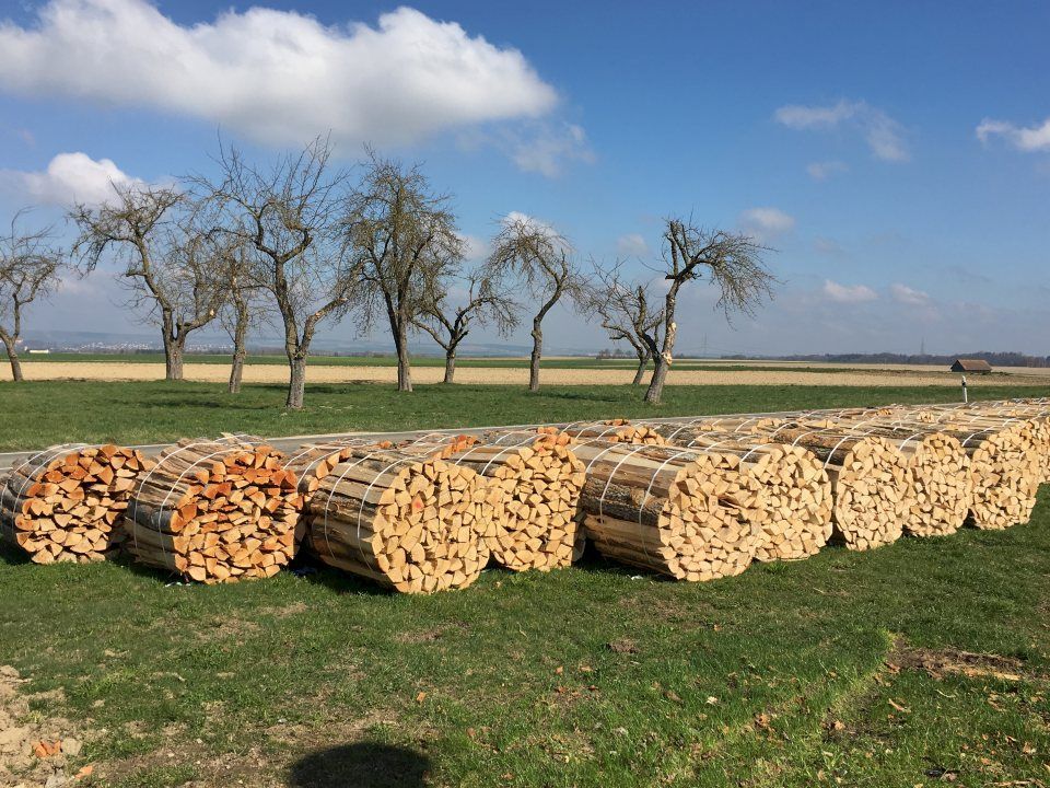 Brennholz von der Sachs GmbH & Co. KG