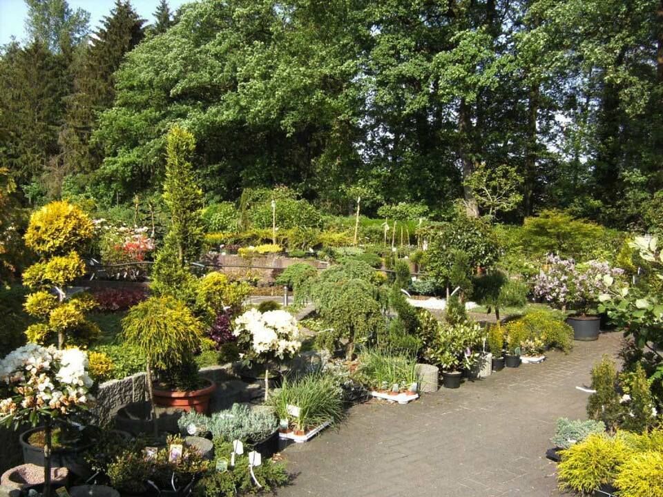 Maik Großblotekamp Garten- und Landschaftspflege – Töpfe mit verschiedenen Pflanzen