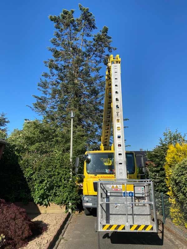 Ein gelber Lastwagen mit einer daran befestigten Leiter steht neben einem Baum.