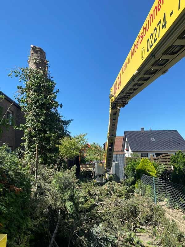 Ein gelber Kran mit der Nummer 02274