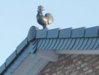 Ein Hahn sitzt auf einem Dach.