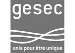 Logo du Groupement Économique Sanitaire Électricité Chauffage