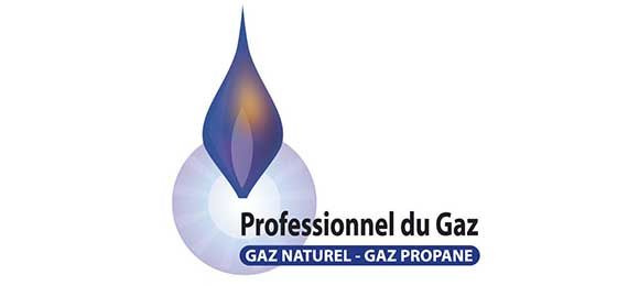 Logo Professionnel Gaz Naturel et Professionnel Gaz Propane