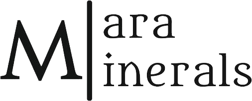 logotipo cabecera