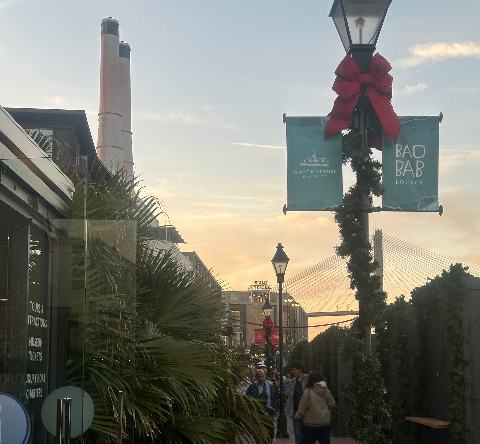 plant riverside Christmas 