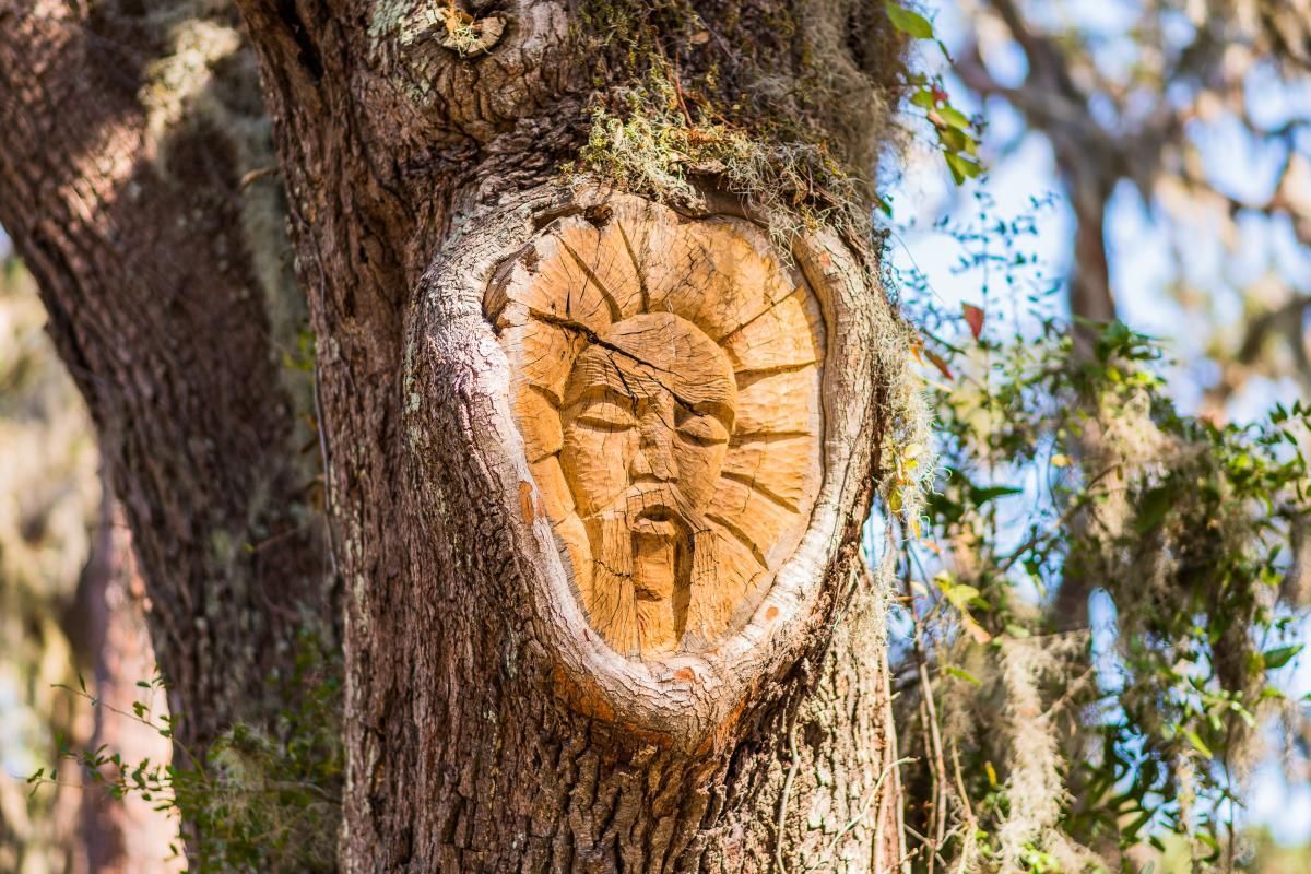 The Tree Spirits of St. Simons Island