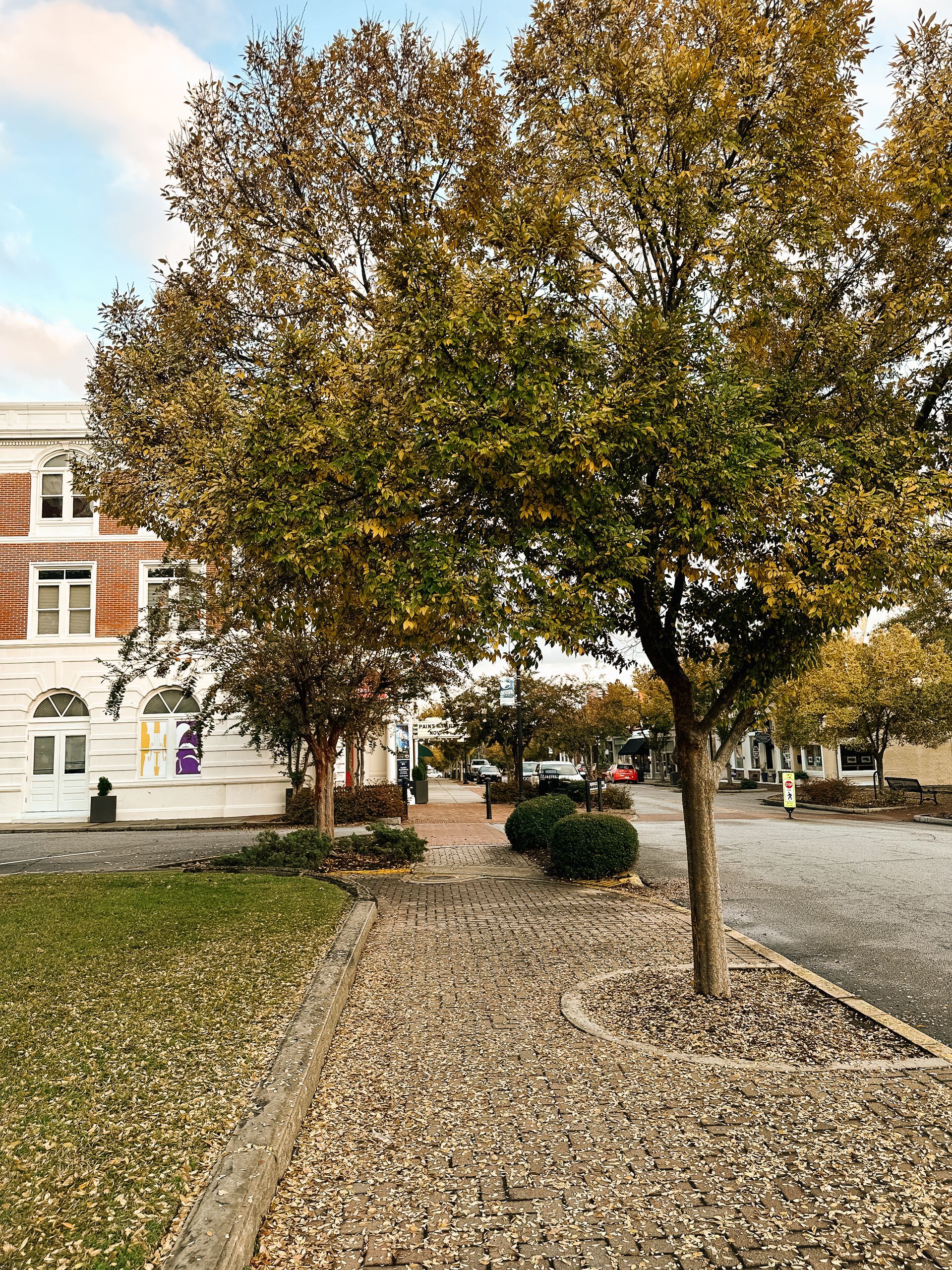 The Keelin Family at the Franklin's Farm Fall Festival - Photo by Aidan Stacy | Grice Connect