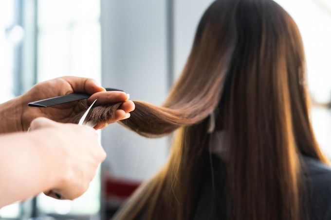 Peluquero recortando las puntas de un cabello largo y castaño con unas tijeras.